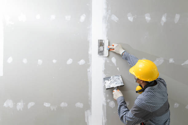 Best Drywall Crack Repair  in Sebewaing, MI